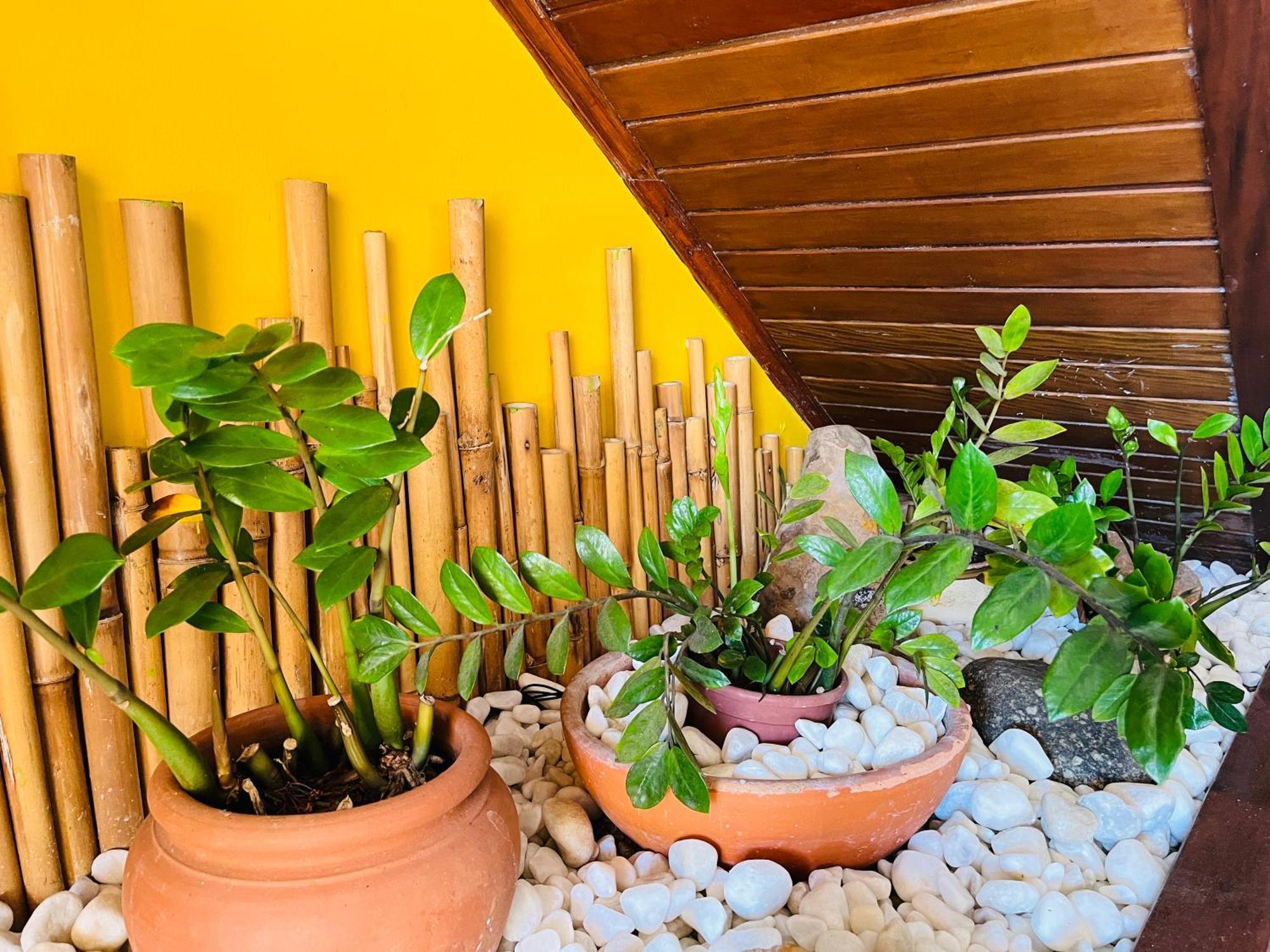 אובטובה Pousada Canto Dos Golfinhos מראה חיצוני תמונה